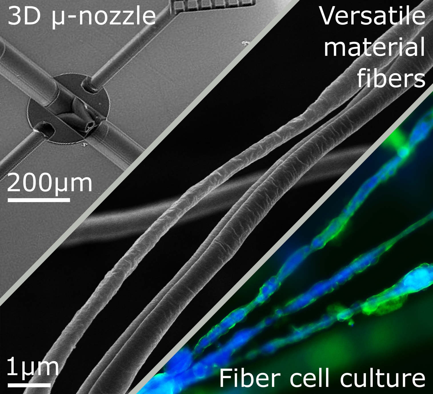 Artifically Spun Fibers