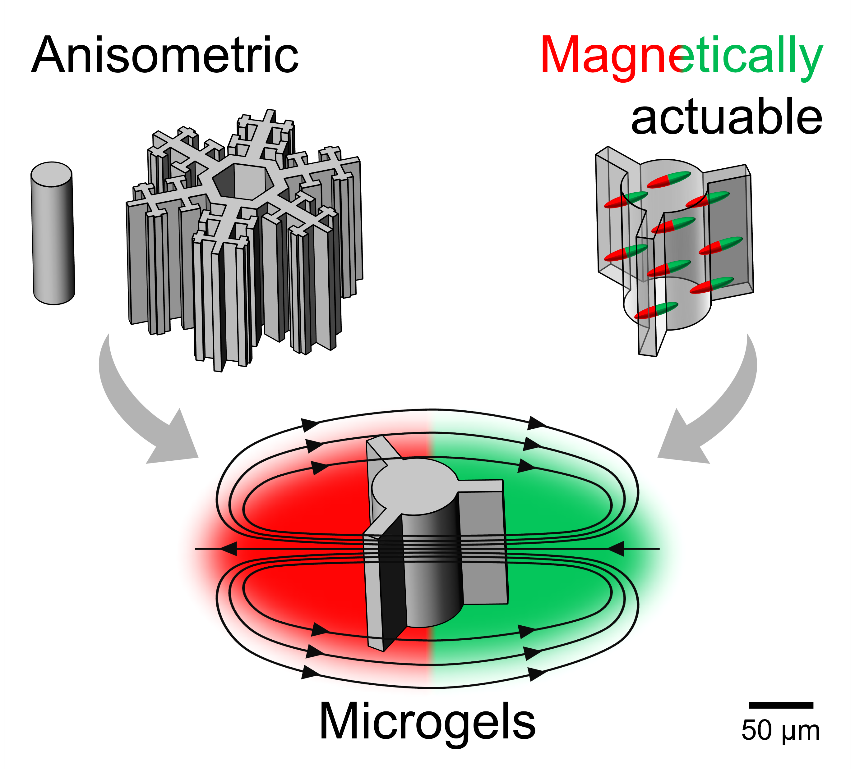 Magnetic Anisometric Microgels