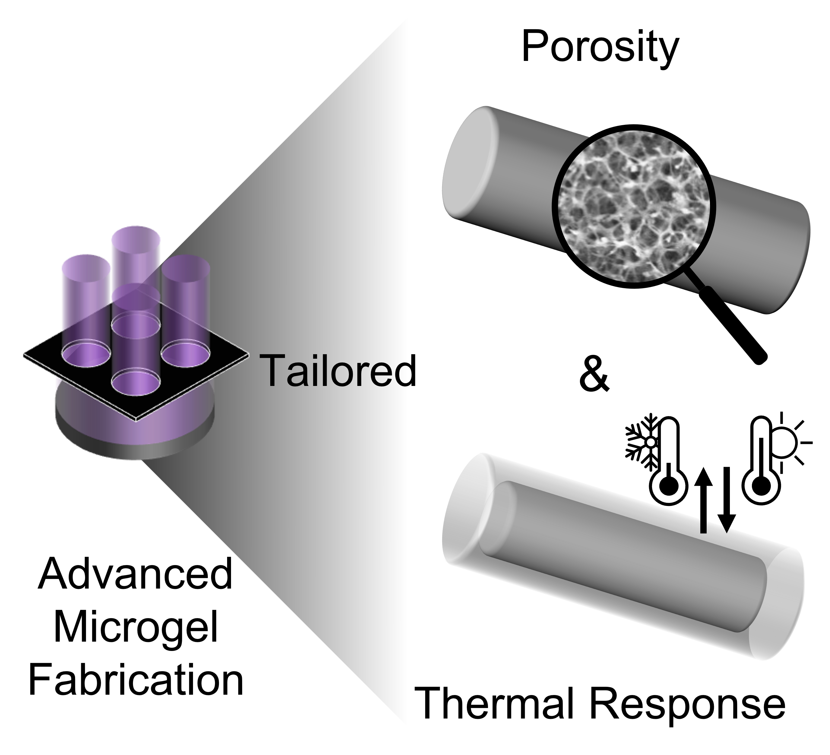 Tailored Microgels in Porosity and Thermal Response